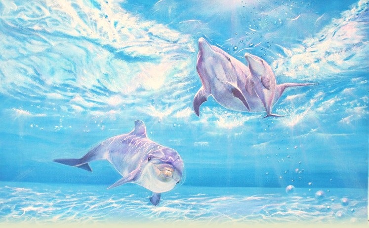 メインイメージ